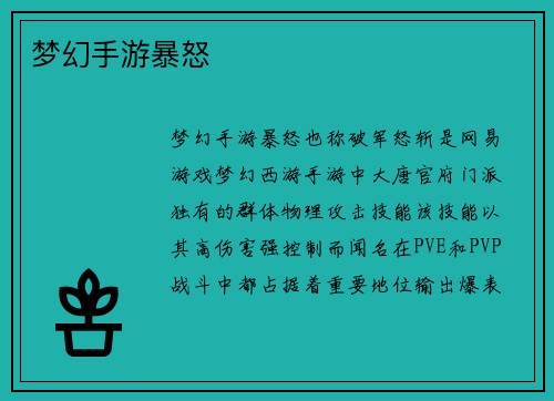 梦幻手游暴怒